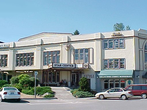 Star Center Antique Mall